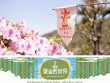 第24回葉山芸術祭