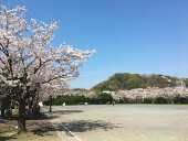 第一運動公園/ダイイチウンドウコウエン