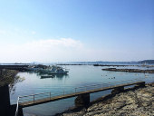 真名瀬海岸