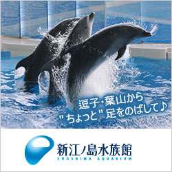 新江ノ島水族館